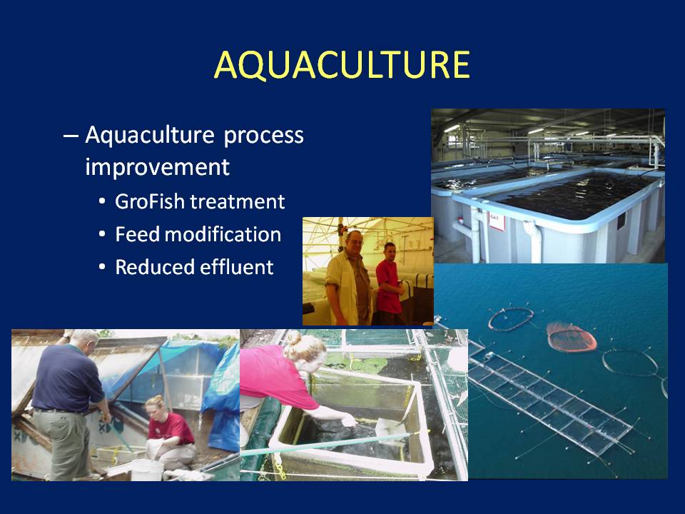 Aquaculture Services