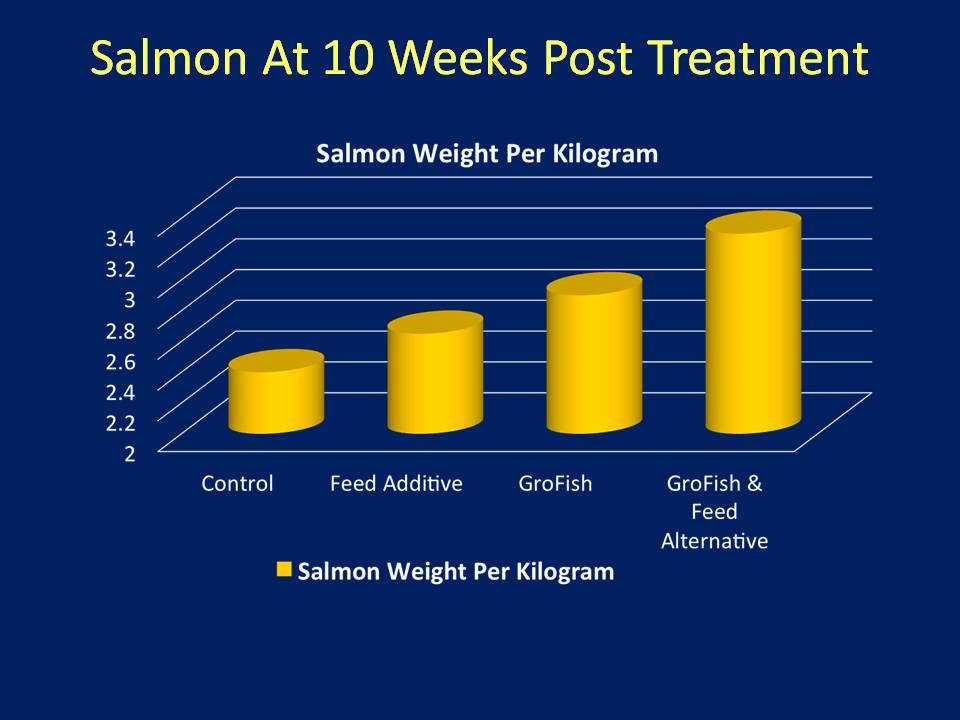 Salmon 10 Weeks After Treatment