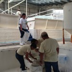 Moving shrimp from hatchery tanks for treatment